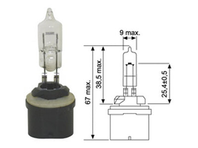 POLTTIMO 12V/50W PG13 GE885