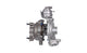 Turbot