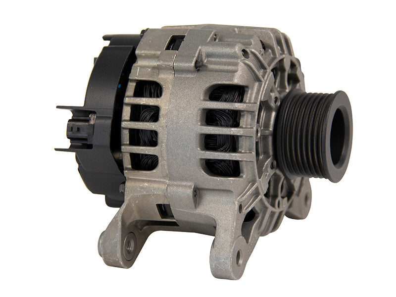 LATURI BOSCH