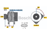 LATURI BOSCH