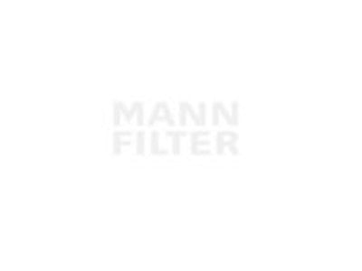 ILMANSUODATIN MANN,