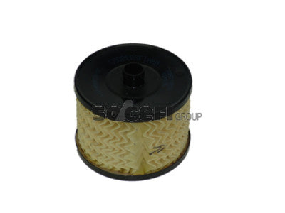 POLTTOAINESUODATIN CPF, FORD, PSA