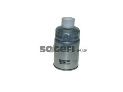 POLTTOAINESUODATIN CPF,