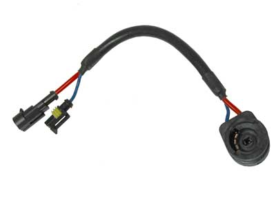 LAMPUNKANTA D2S/R XENON-POLT.