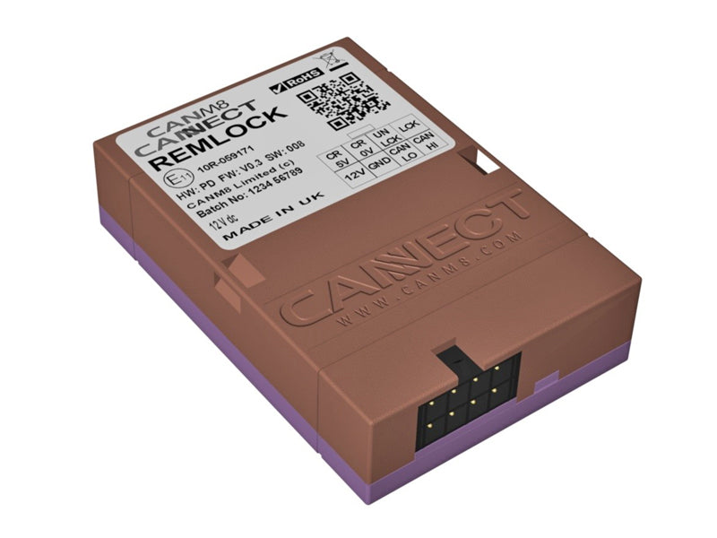 CAN BUS CENTRAL LOCKING INTERFACE