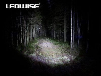 LEDWISE SAINT XP-L LED-TASKULAMPPU