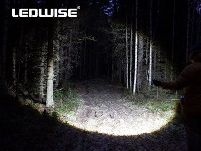 LEDWISE ROGUE LED MINITASKULAMPPU