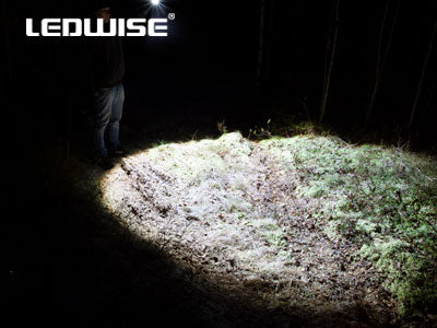 LEDWISE ROGUE LED MINITASKULAMPPU