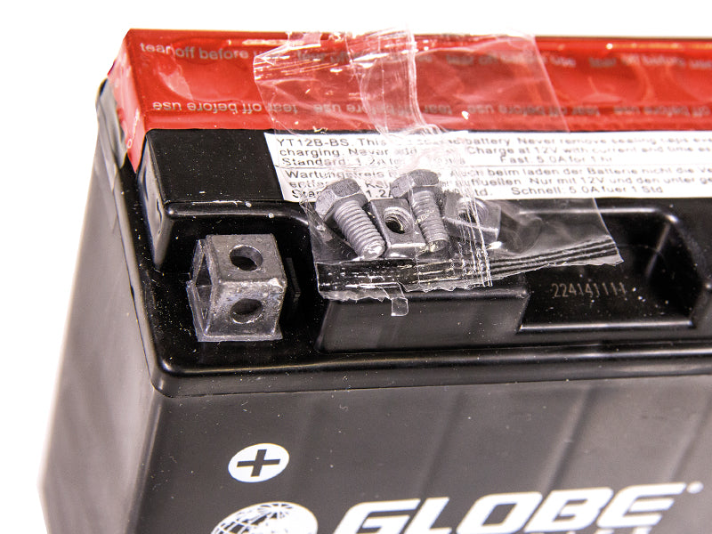 GLOBE AGM 12V 10AH 150X69X130 +/- 110A (EN)