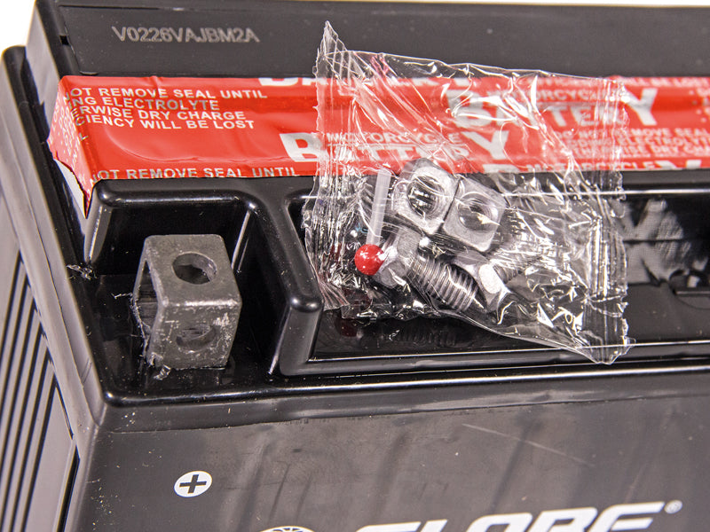GLOBE AGM 12V 10AH 150X87X130 +/- 160A (EN)