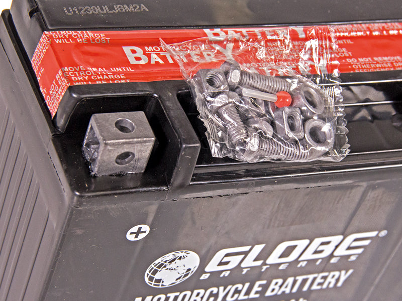 GLOBE AGM 12V 18AH 175X87X155 +/- 250A (EN)