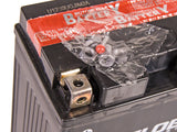 GLOBE AGM 12V 18AH 150X87X161 +/- 240A (EN)