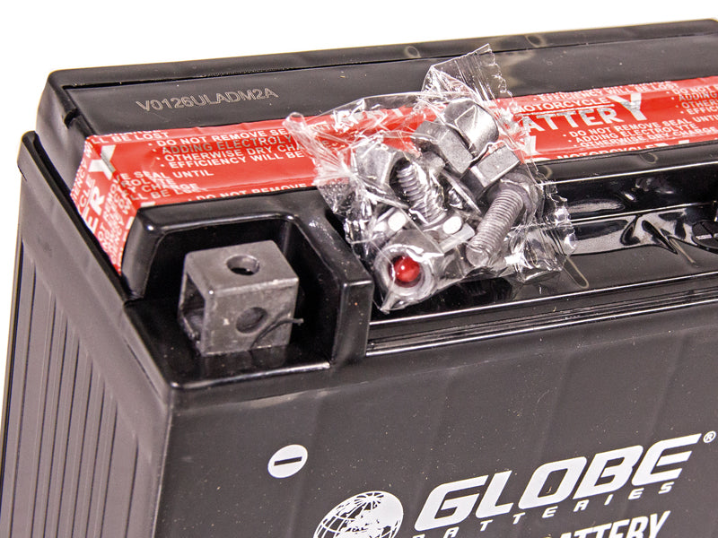 GLOBE AGM 12V 18AH 175X87X155 -/+ 250A (EN)