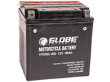 GLOBE AGM 12V 30AH 167X127X176 -/+ 350A (EN)