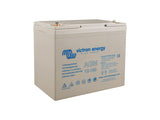 VICTRON AGM AKKU 12V/100AH (M6)