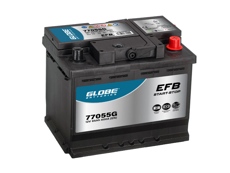 GLOBE EFB 65AH 242X175X190 -/+ 600A EN