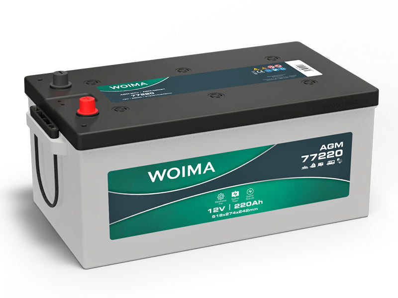 WOIMA AGM SOLAR 220AH 518X274X242 +/-