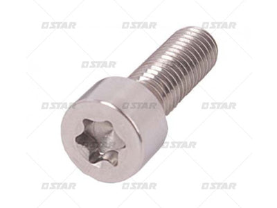 TORX PULTTI