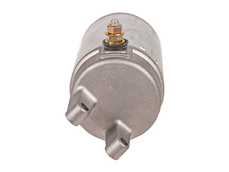 STARTTI SUZUKI