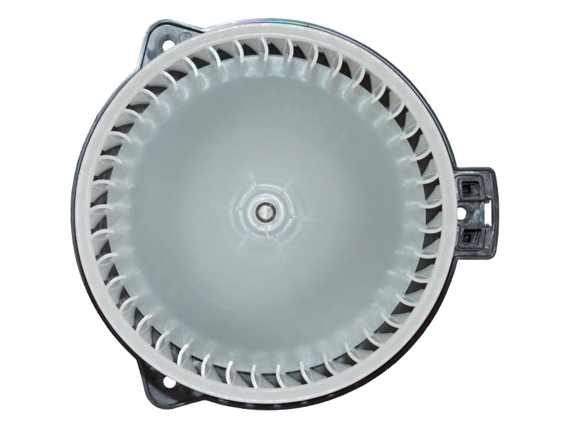 BM63-1146