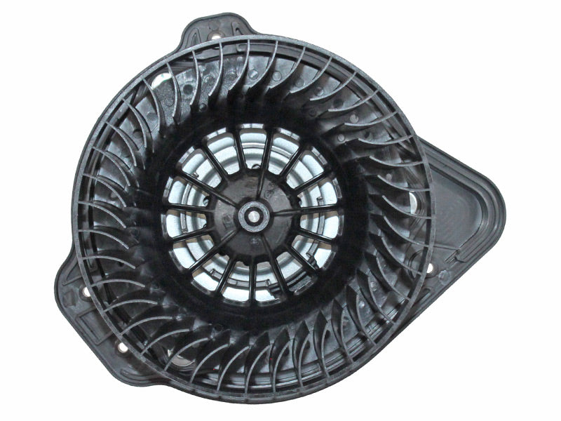 BM63-1364T