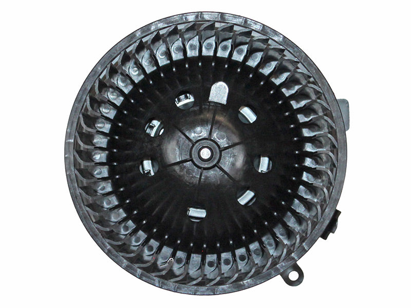 BM63-19018