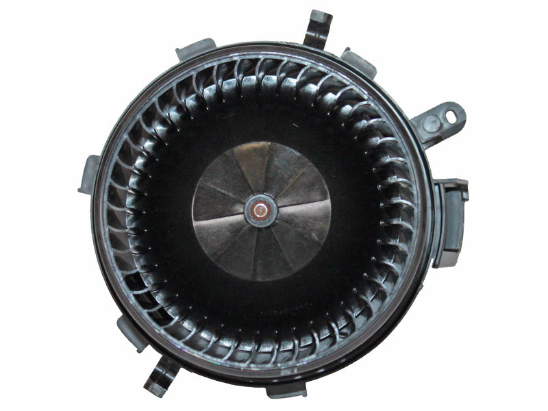 BM63-19038