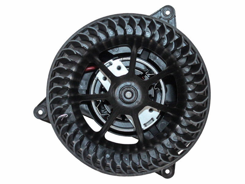 BM63-19042