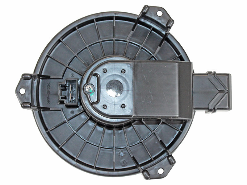 BM63-19173