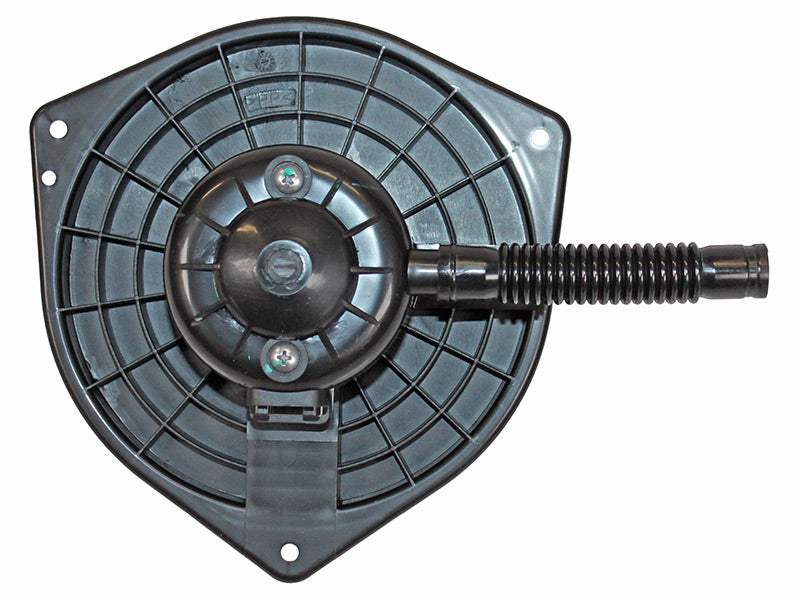 BM63-19436