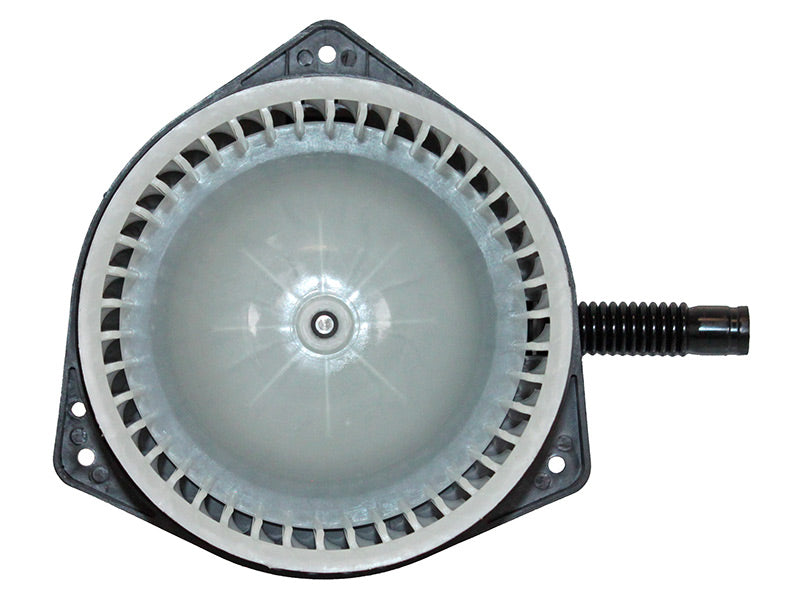 BM63-19436
