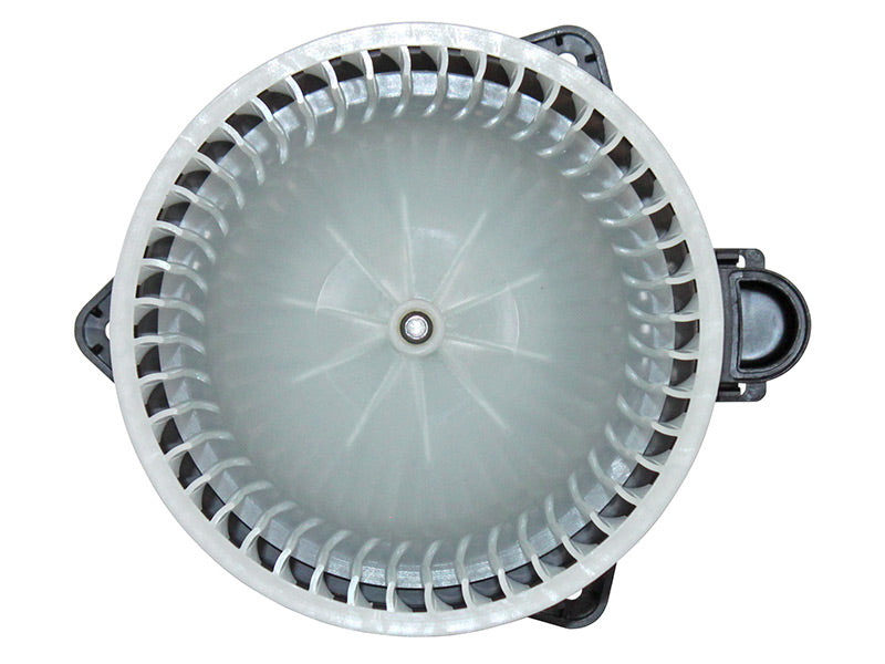 BM63-19517