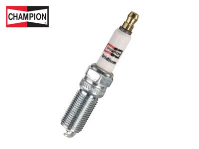 SYTYTYSTULPPA  CHAMPION IRIDIUM