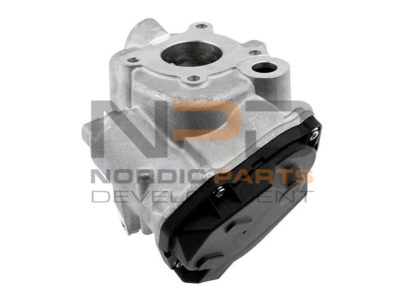 EGR-VENTTIILI NPD