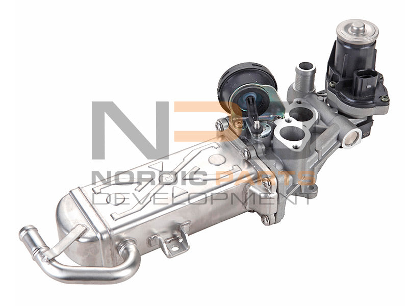 EGR-VENTTIILI NPD