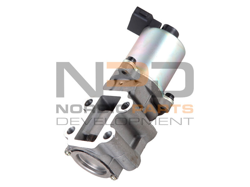 EGR-VENTTIILI NPD