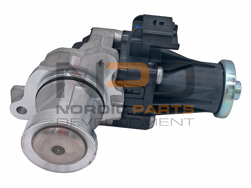 EGR-VENTTIILI NPD