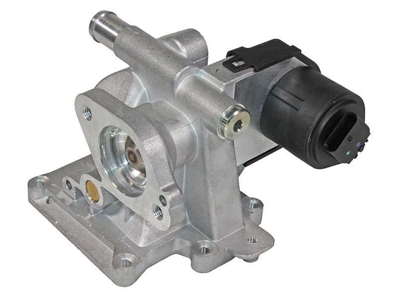 EGR-VENTTIILI NPD