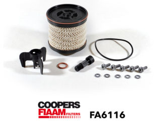 POLTTOAINESUODATIN CPF, RENAULT