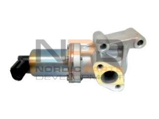 EGR-VENTTIILI NPD