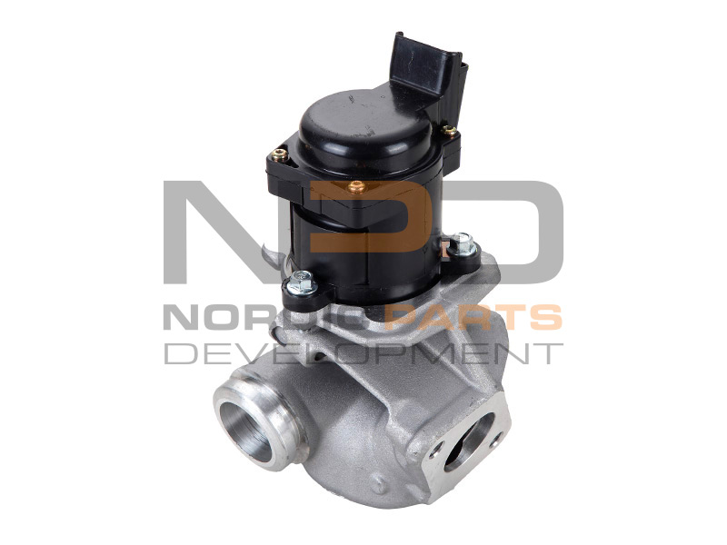 EGR-VENTTIILI NPD