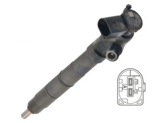 RUISKUTUSSUUTIN DELPHI